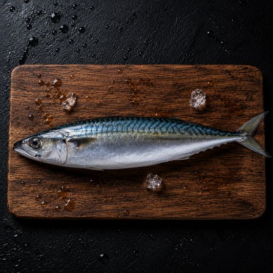 Mackerel
