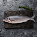 Indian Salmon