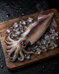 Squid
