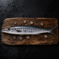 Barracuda