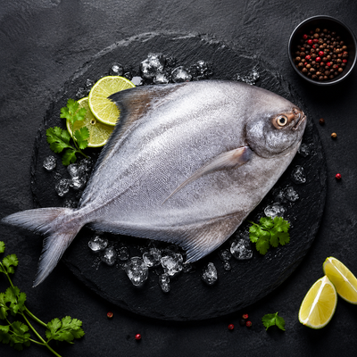 Black Pomfret