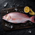 Pink Perch