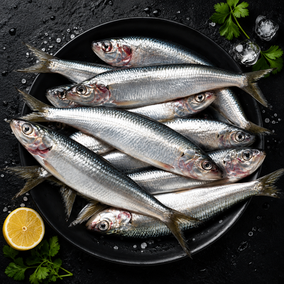 Sardines
