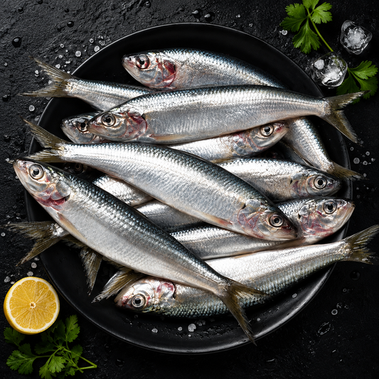 Sardines